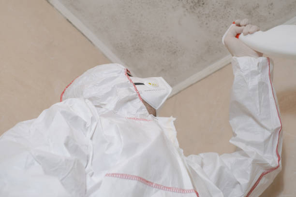 Trusted Glenwood Landing, NY Mold Remediation Experts