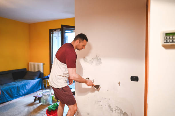 Best Localized Mold Remediation (e.g., coastal areas, humid climates) in Glenwood Landing, NY